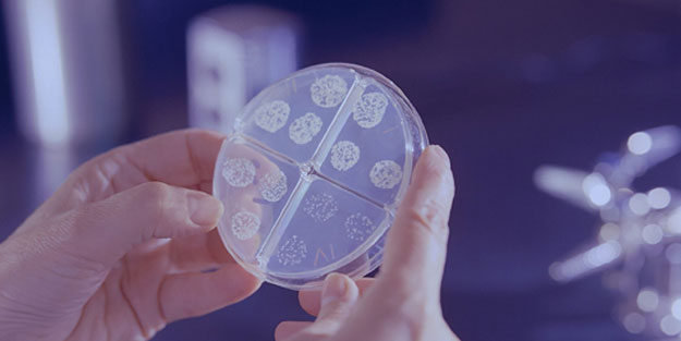 HÜS nedir? Hemolitik Üremik Sendrom HÜS hastığı belirtileri neler?