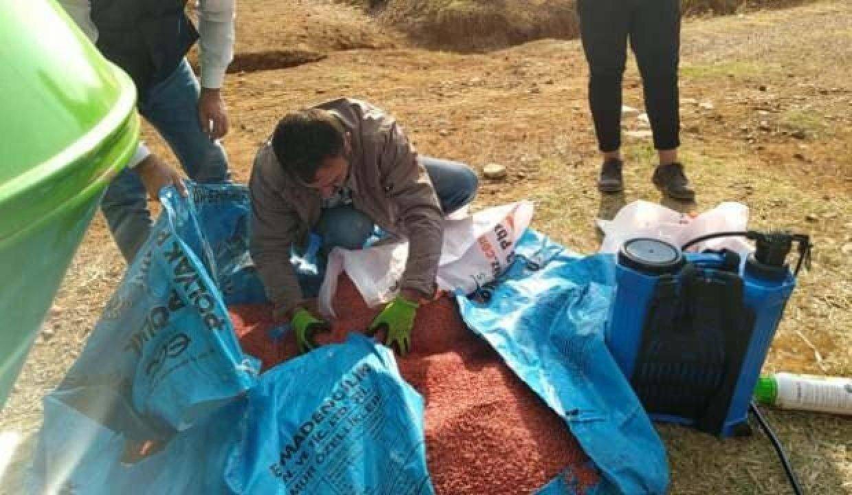 ‘Hüseyinbey’ Adana’da toprakla buluştu