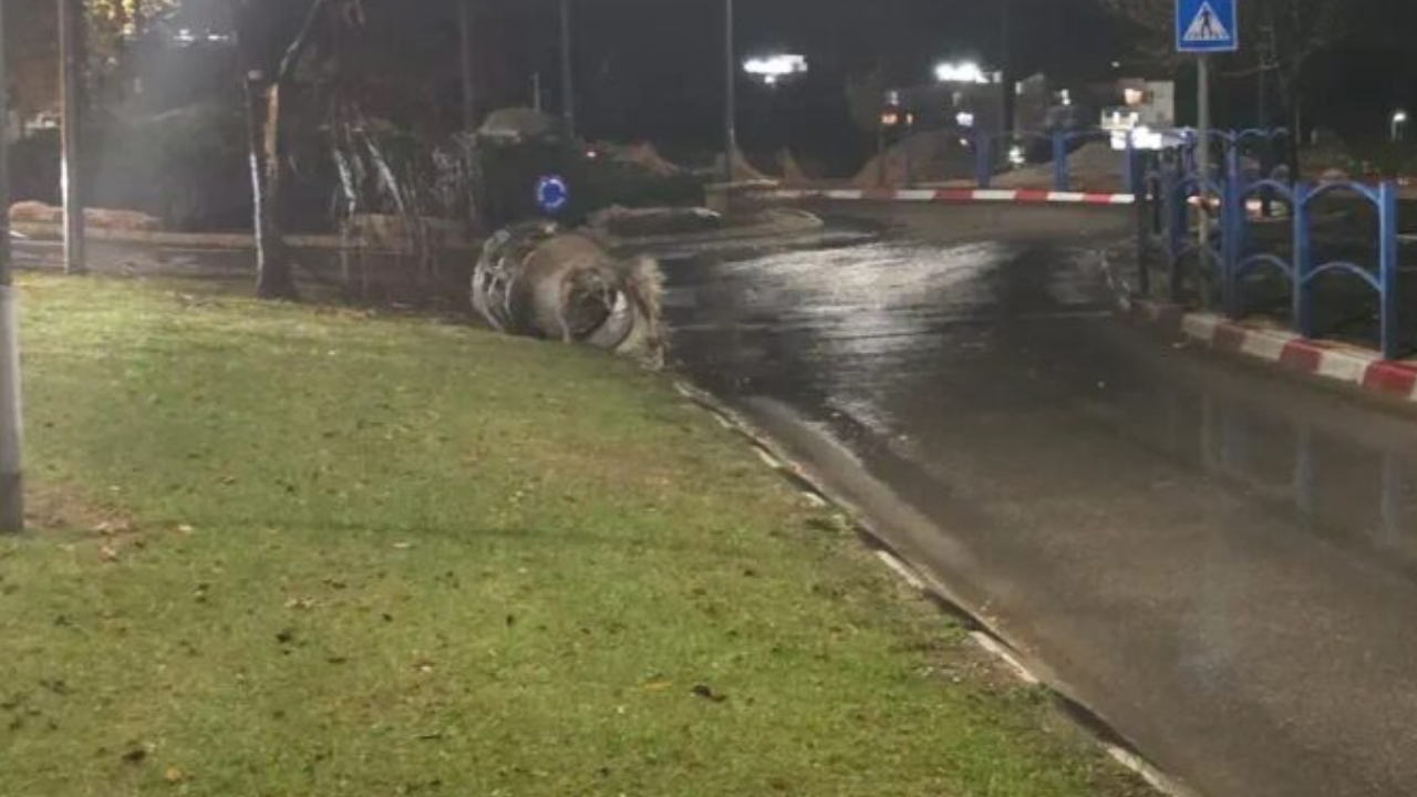 Husiler İsrail'e füze fırlattı!