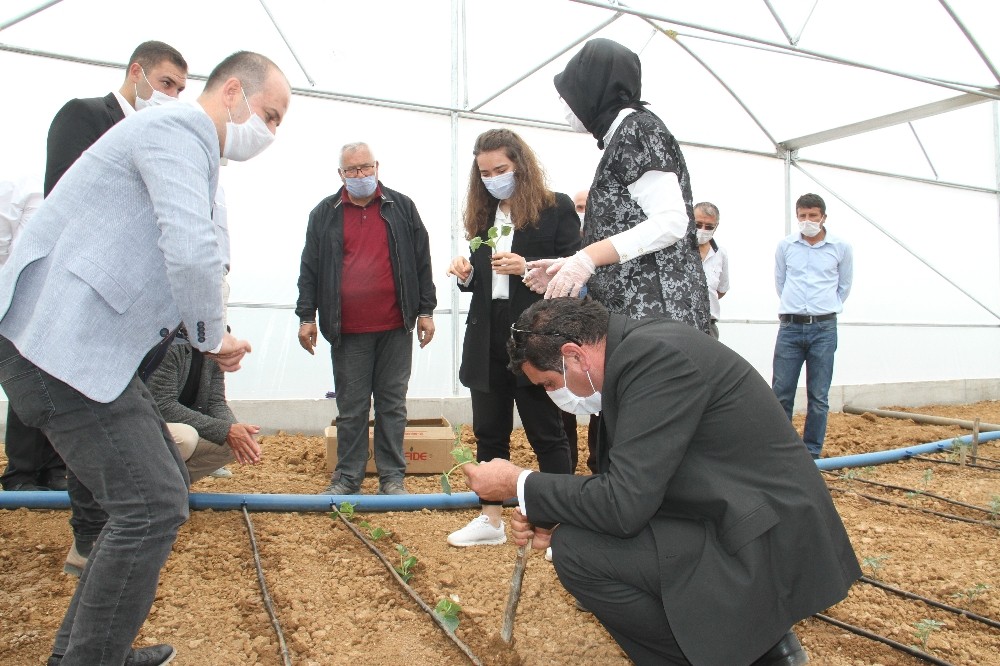 Hüyük’te seracılık gelişiyor 