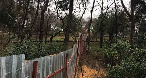 Maçka Parkı’na 60 yeni ağaç dikildi