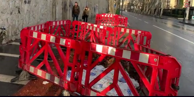 'İBB ağaç katledip reklam yeri açtı' iddiası!