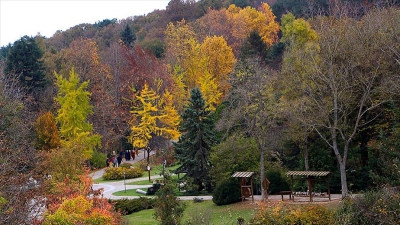 İBB’nin Belgrad Ormanı’ndaki saltanatı bitti