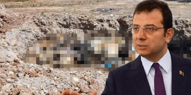 İBB'nin faciasına tepkiler çığ gibi