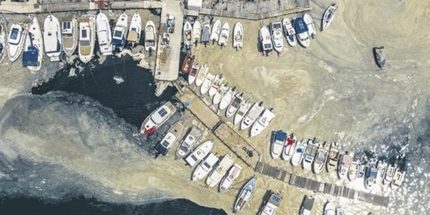İBB'nin müsilaj yalanı ortaya çıktı 