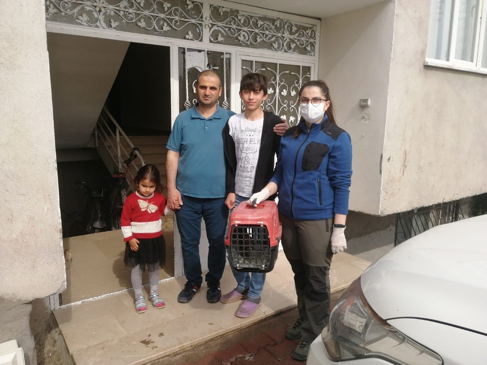 İbibik kuşu tedavi altına alındı 