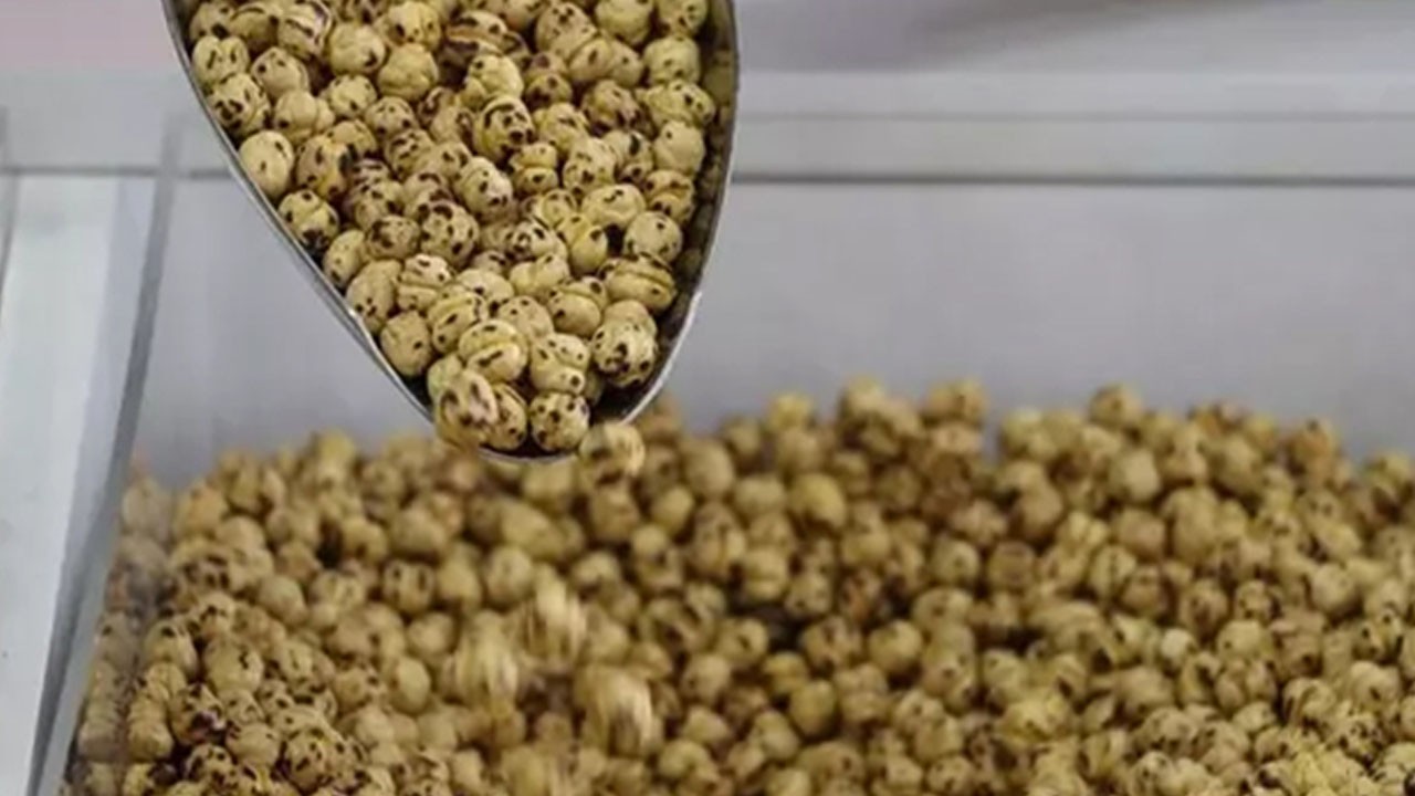 İbn-i Sina binlerce yıl önerdi: Gün içinde bir avuç leblebi tüketilirse…