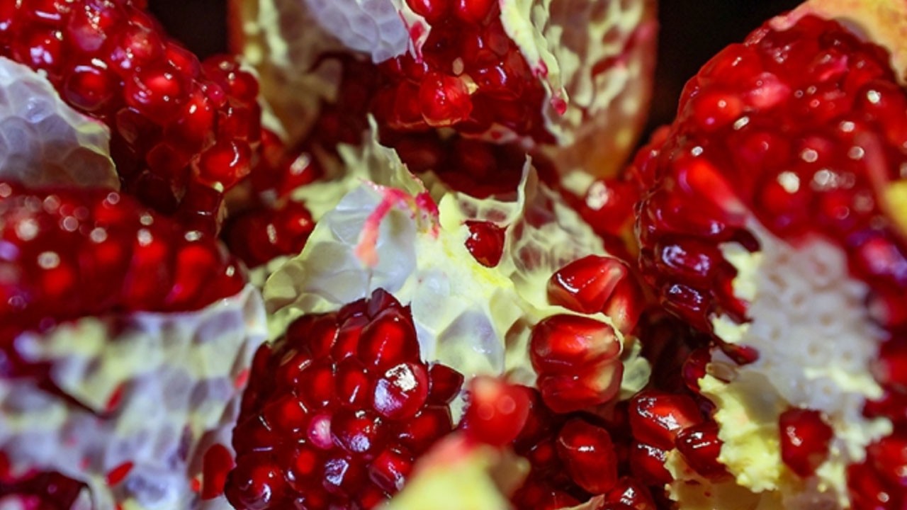 İbn-i Sina'nın bin yıllık sırrı! Ömrü uzatan süper besin!