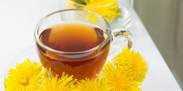 İbn-i Sina şeker hastalığı tedavisinde kullandı! İşte karahindibanın faydaları: Çareyi bilen isim önerdi! Yapın