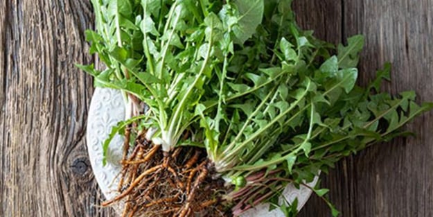 İbn-i Sina şeker için reçetesi: Şeker hastalığına şifa oluyor, karaciğeri iyileştiriyor!