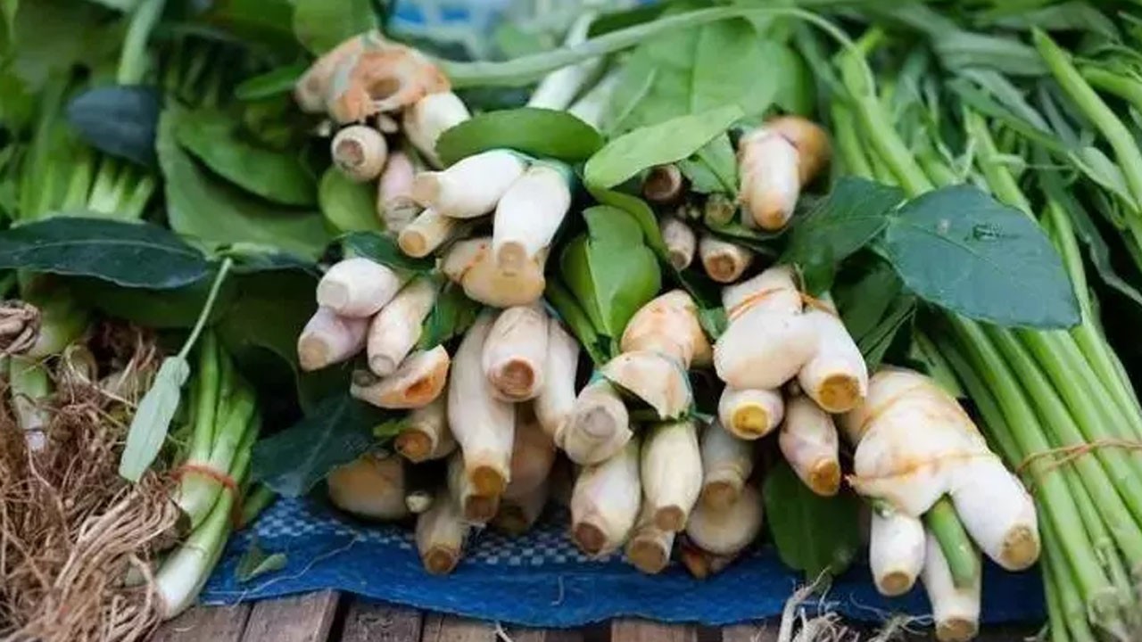 İbn-i Sina yüzyıllar önce çözüm var diyor! Beyinde ve damardaki tıkanıklığı geçiren tek besin