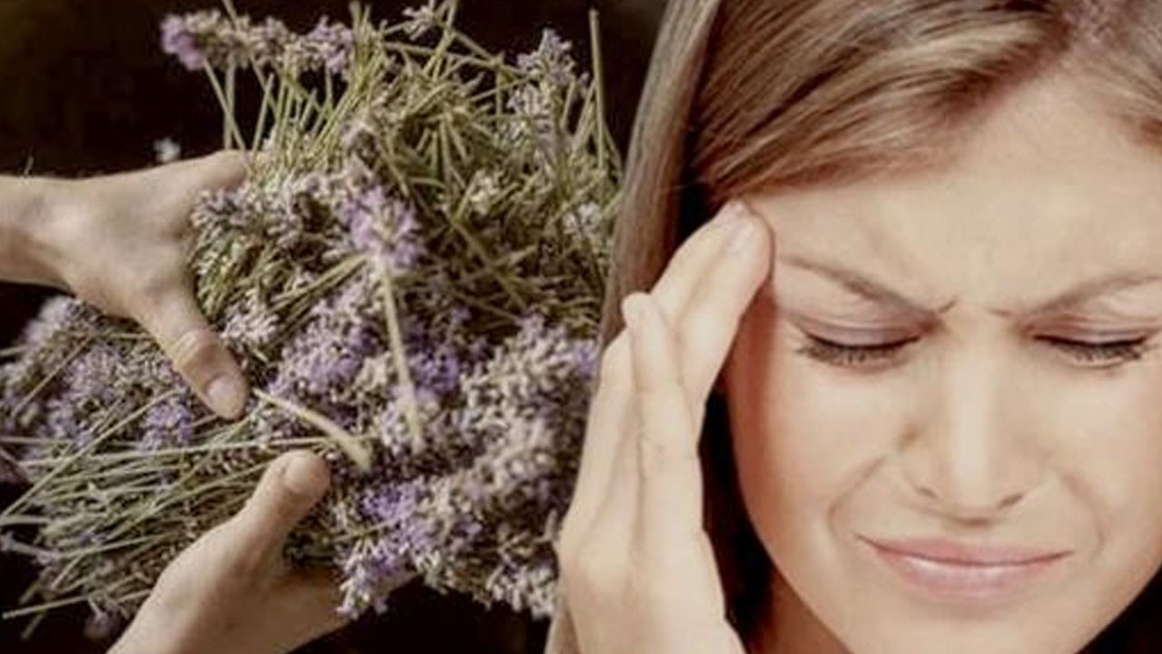 İbn-i Sina’nın bin yıllık şifası: Baş ağrısına meğer bunu yapınca geçiyormuş