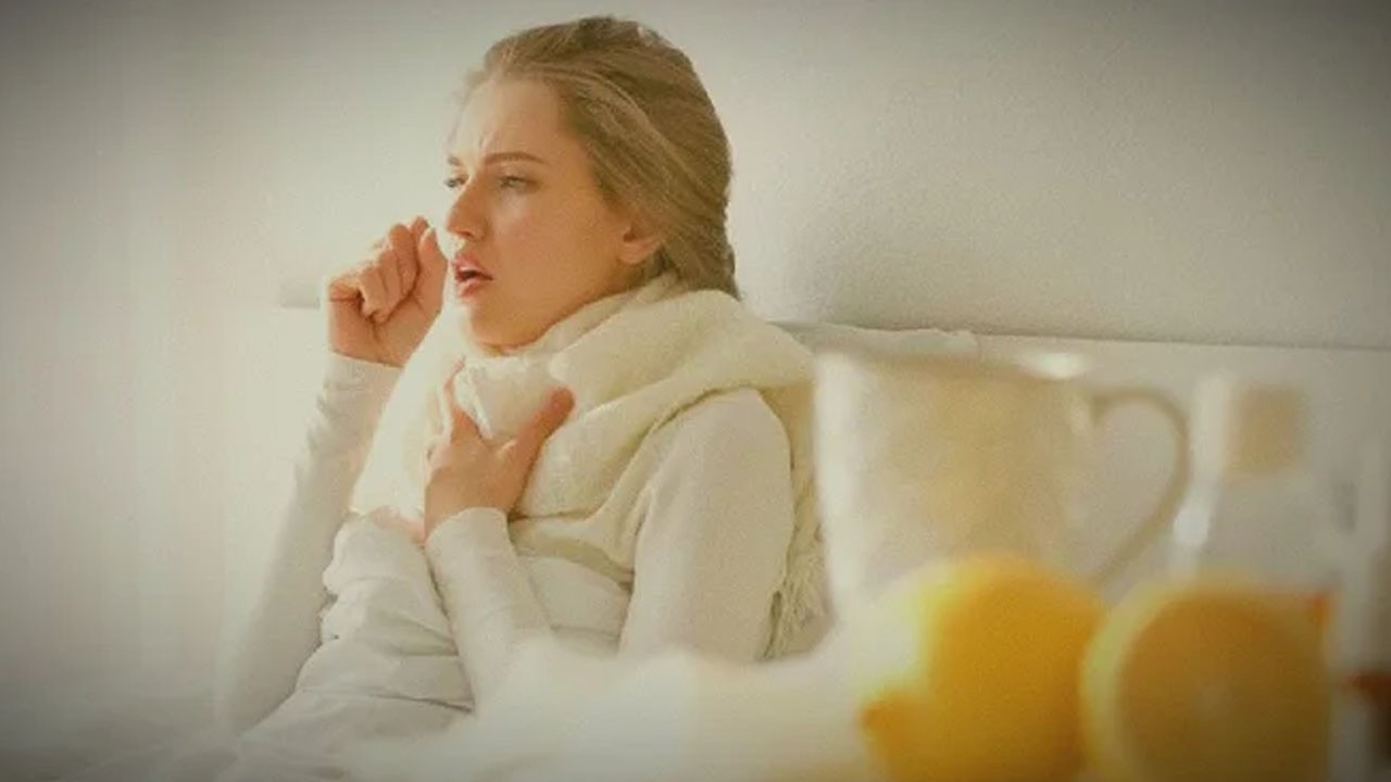 İbn-i Sina'nın bin yıllık sırrı