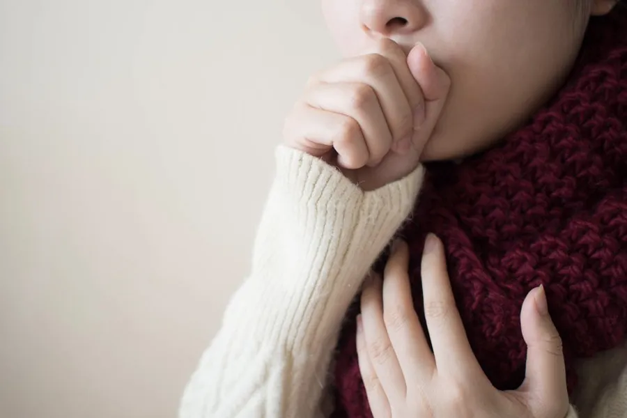 İbn-i Sina'nın bin yıllık tarifi, öksürüğünüzü bıçak gibi kesecek! Denemeyen bin pişman