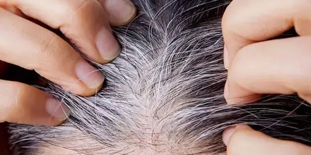 İbn-i Sina'nın her derde deva reçetesi: Beyaz saçları yok ediyor! Boyadan bile etkiliymiş