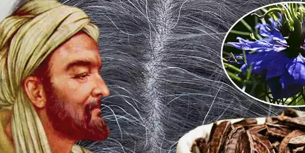 İbn-i Sina'nın her derde deva reçeteleri!