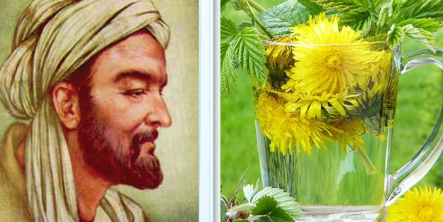 İbn-i Sina'nın muhteşem önerisi: Şeker hastalığına şifa oluyor, kanı temizliyor, karaciğeri iyileştiriyor! İştah bozan bitki