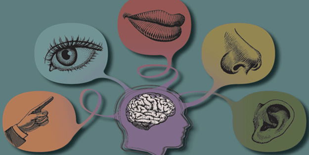 İbn-i Sina'ya göre hangi duygu hangi organı bitirir?