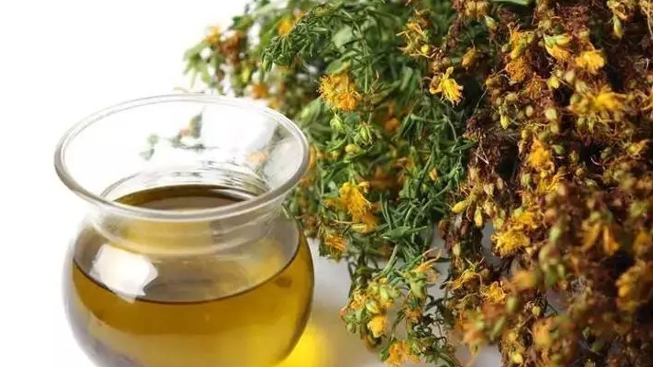 İbrahim Saraçoğlu'dan basura çözüm! O çay vücuttaki sistemleri yeniliyor! Egzama, yara ve lekeleri silgi gibi siliyor