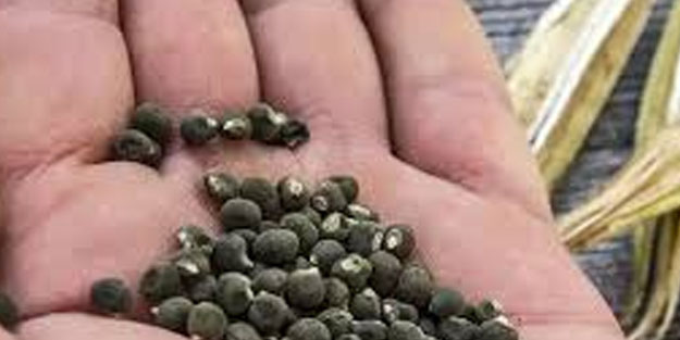 İbrahim Saraçoğlu'ndan dizlerdeki sıvı kaybı için yöntem