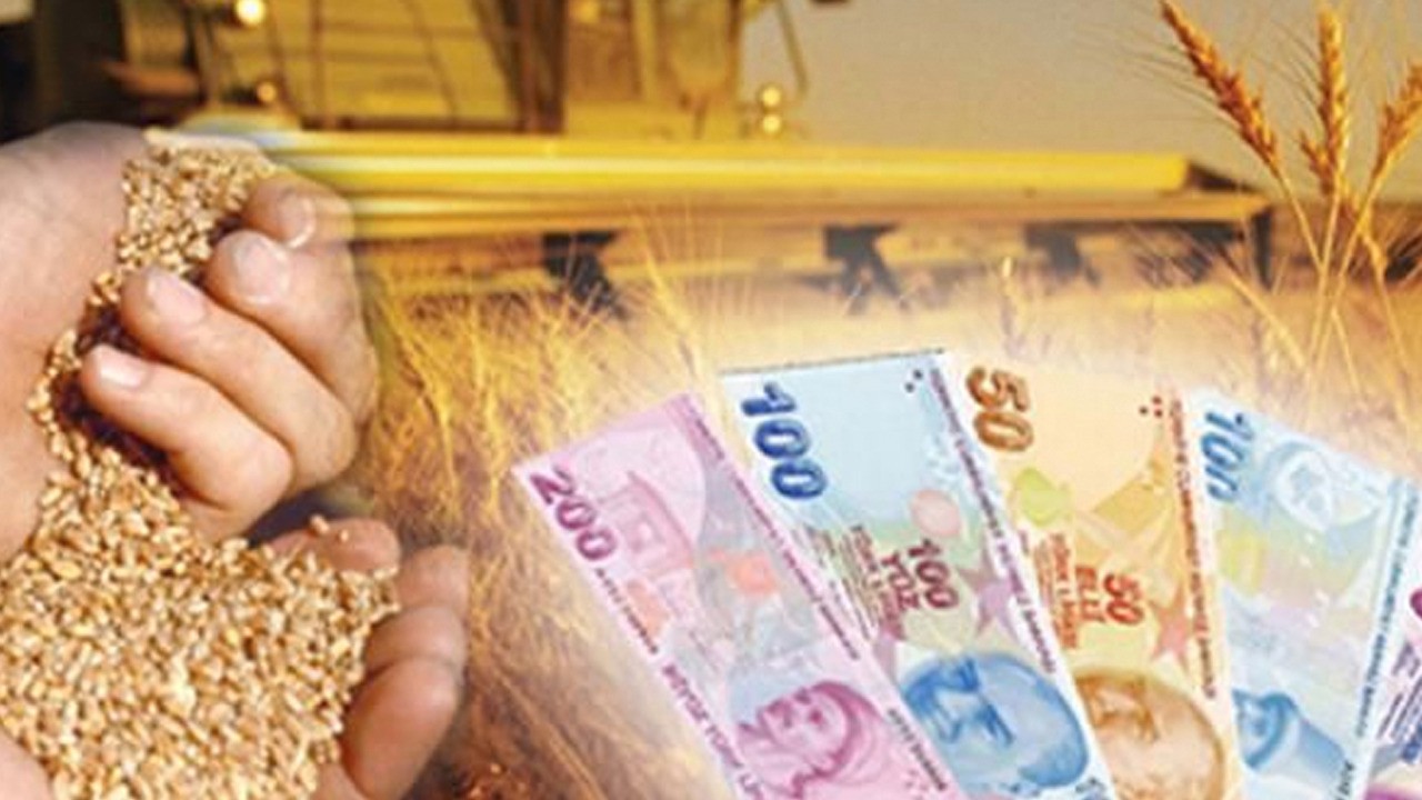 İbrahim Yumaklı müjdeyi verdi: Çiftçilere hububat desteği ödemesi yapılacak!