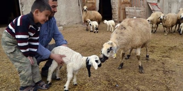 İbretlik bir doğum daha: Görenleri şaşkın döndü!