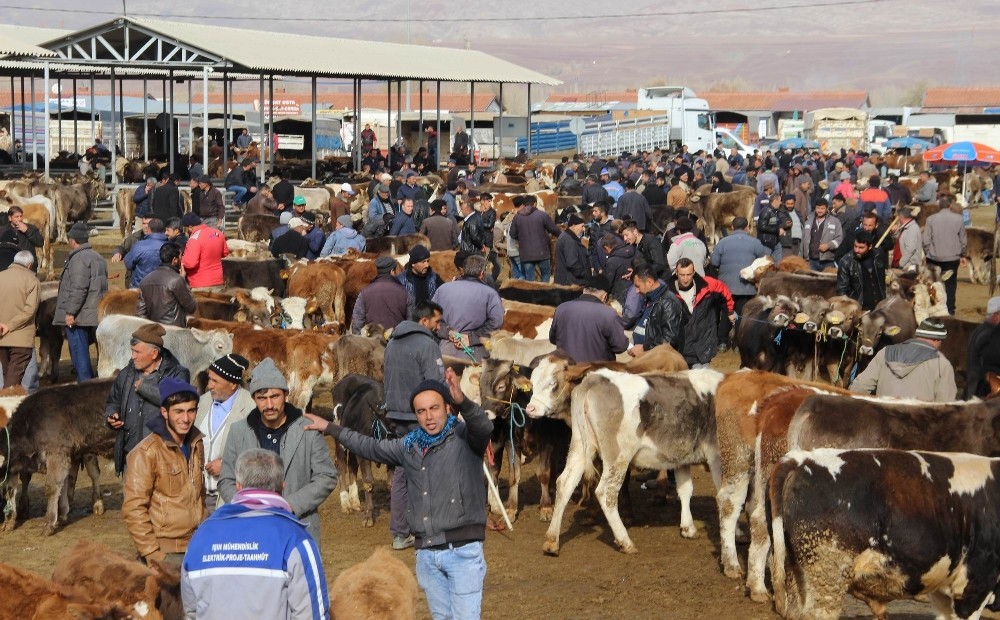 İç Anadolu’nun en büyük hayvan pazarına şap tedbiri 