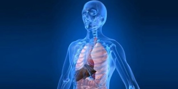 İç organlardaki zehirli maddeler dışarıya nasıl atılır?