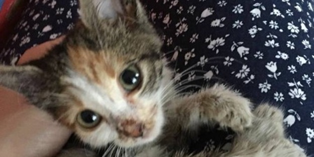 İçinizi ısıtacak bir hikaye - FOTO