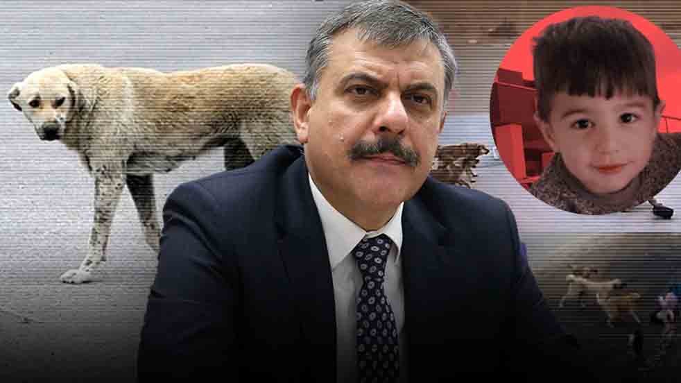 İçişleri Bakanı Çiftçi’den başıboş köpeklerle mücadelede kararlılık mesajı