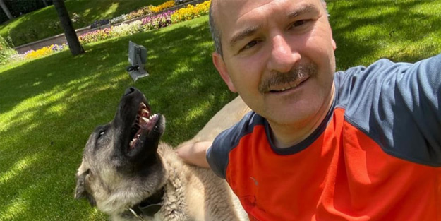 Bakan Süleyman Soylu, sahiplendiği sokak köpeklerini böyle tanıttı
