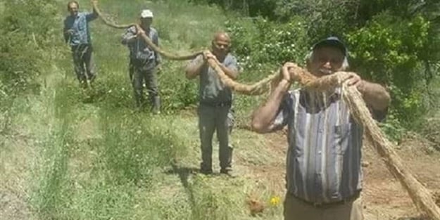 İçme suyu borusundan çıkan şey köylüleri şoke etti: Tam 13 metre!