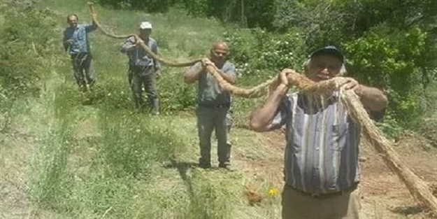 İçme suyu borusundan çıkan şey şok etti