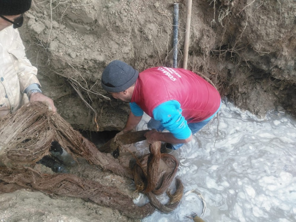 İçme suyu hattından 20 metrelik ağaç kökü çıktı 