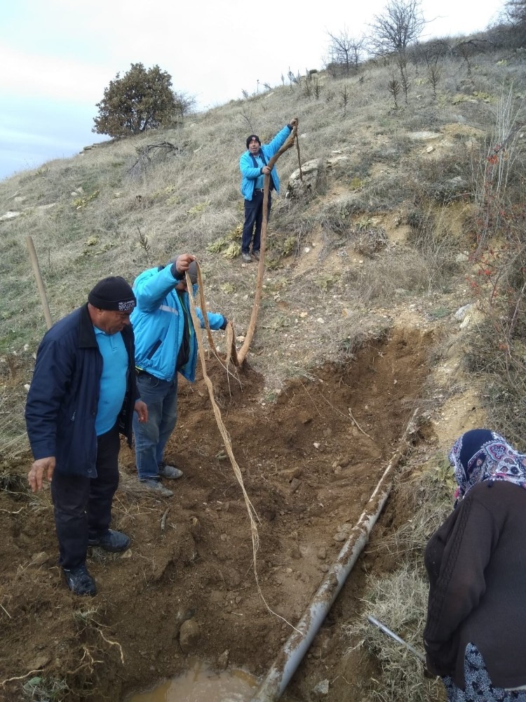 İçme suyu hattından 9 metre ağaç kökü çıktı 