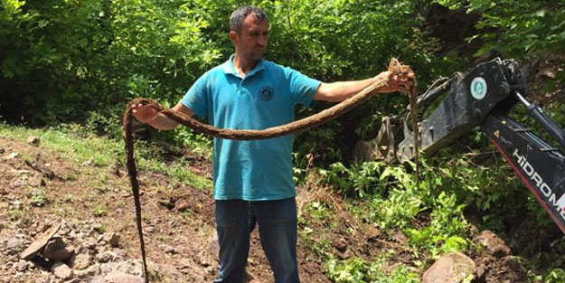 İçme suyu hattından çıkan şey, ekipleri şoke etti