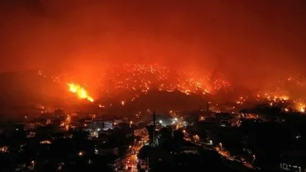 İdam edin bu soysuzu! Bursa'da ormanı yakan şahsın kimliği şoke etti
