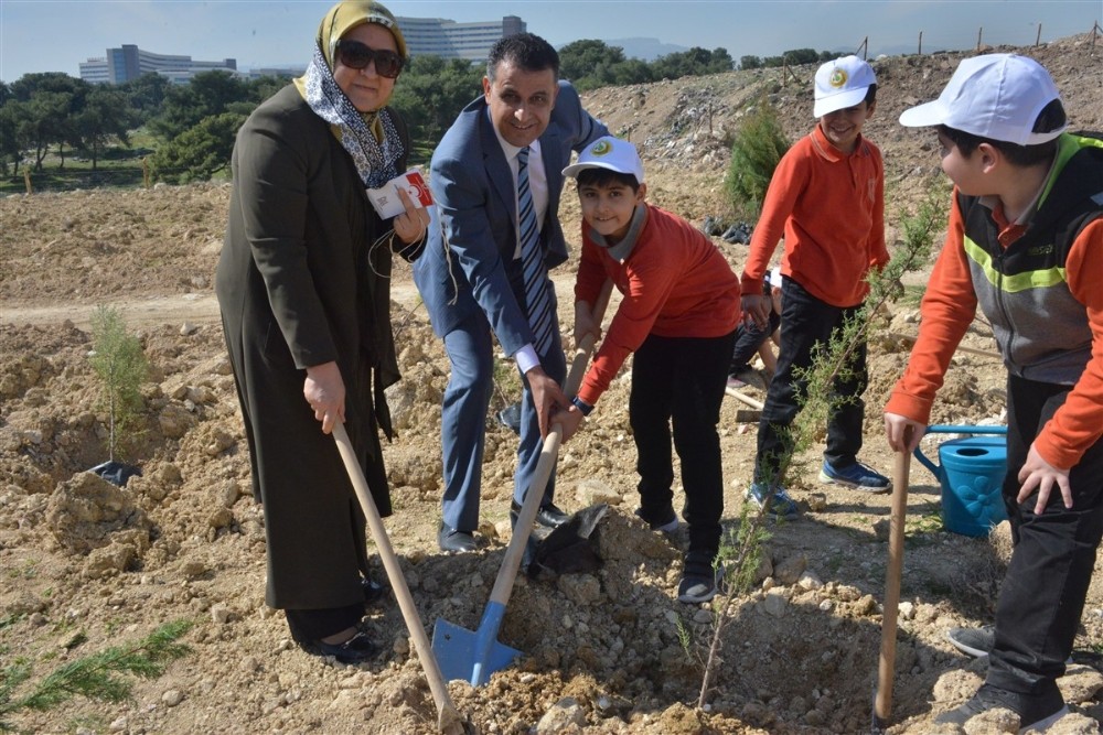 İdlib şehitleri anısına fidan dikildi 