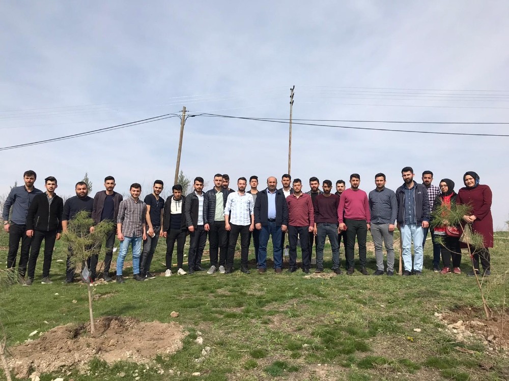 İdlib şehitleri anısına fidan dikildi 