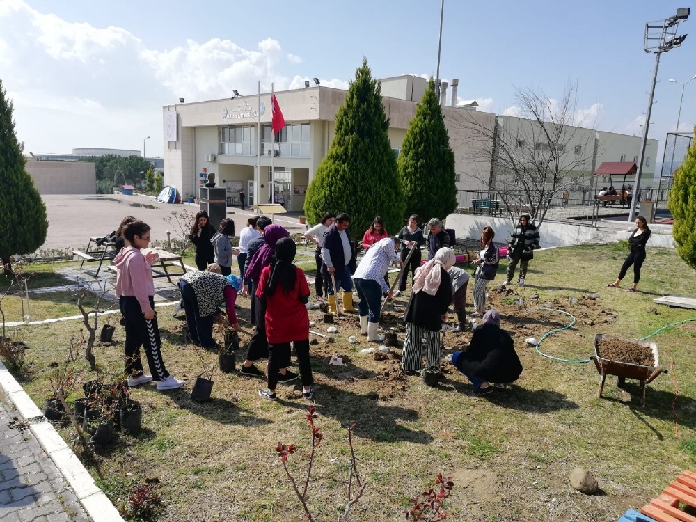 İdlib şehitlerinin adına gül fidanı diktiler 