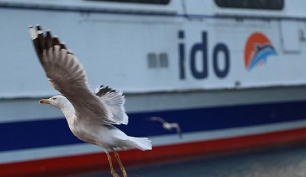 İDO ve BUDO'dan sefer iptalleri