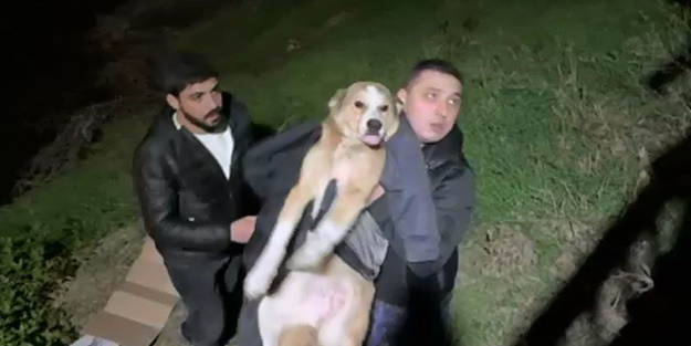 İftara giderken köpeğin hayatını kurtardı