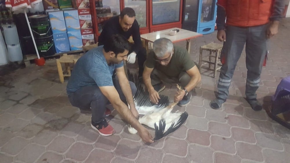 Iğdır’da arazide bulunan leylek, görevlilere teslim edildi 