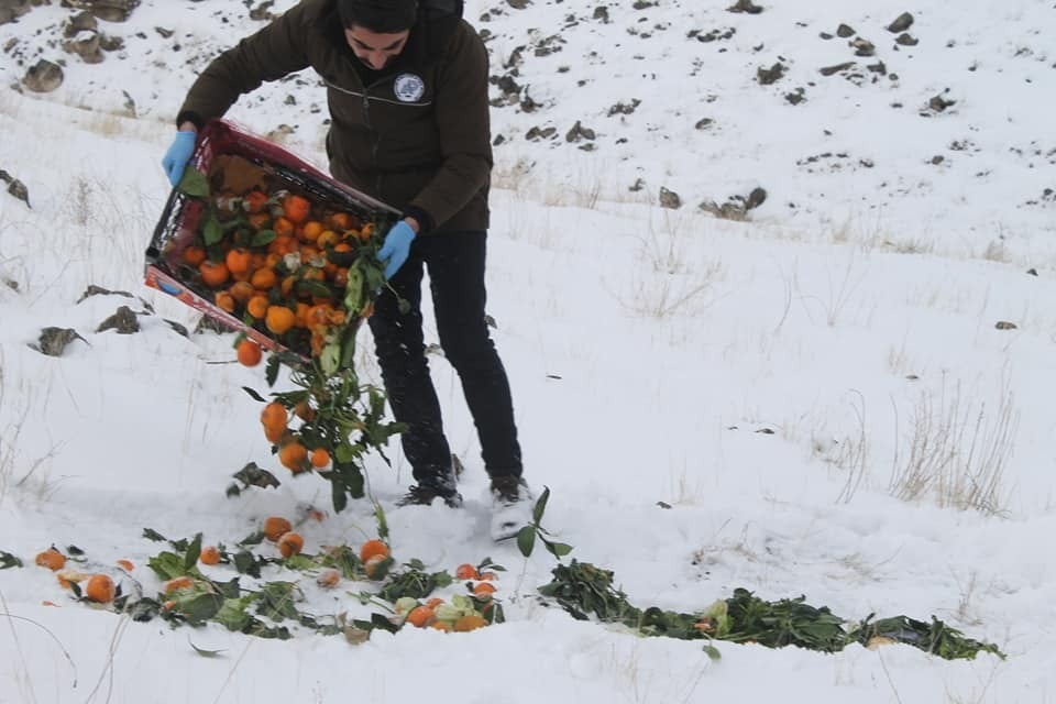 Iğdır’da av ve yaban hayvanları için doğaya 115 kilogram yem bırakıldı 