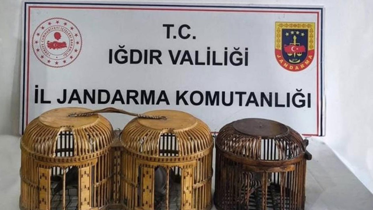 Iğdır’da kaçak keklik avı yapan şahsa para cezası