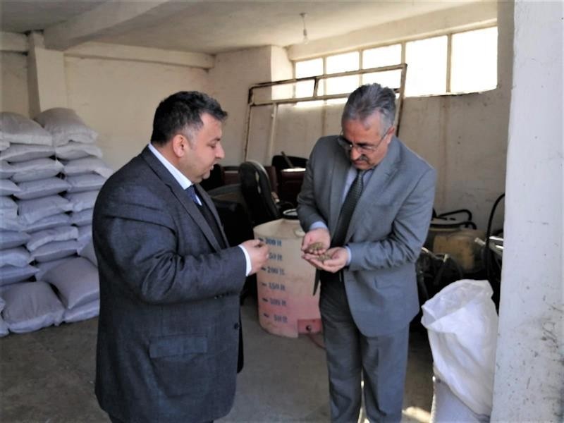 Iğdır’da Korunga üretimi teşvik ediliyor 