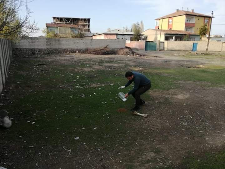 Iğdır’da sokak hayvanları için yem ve su bırakıldı 
