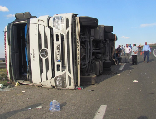Iğdır'da TIR devrildi kurbanlıklar telef oldu!