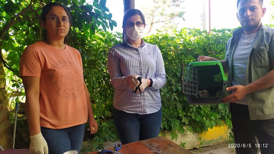 Iğdır’da yaralı kuşlar tedavi altına alındı 