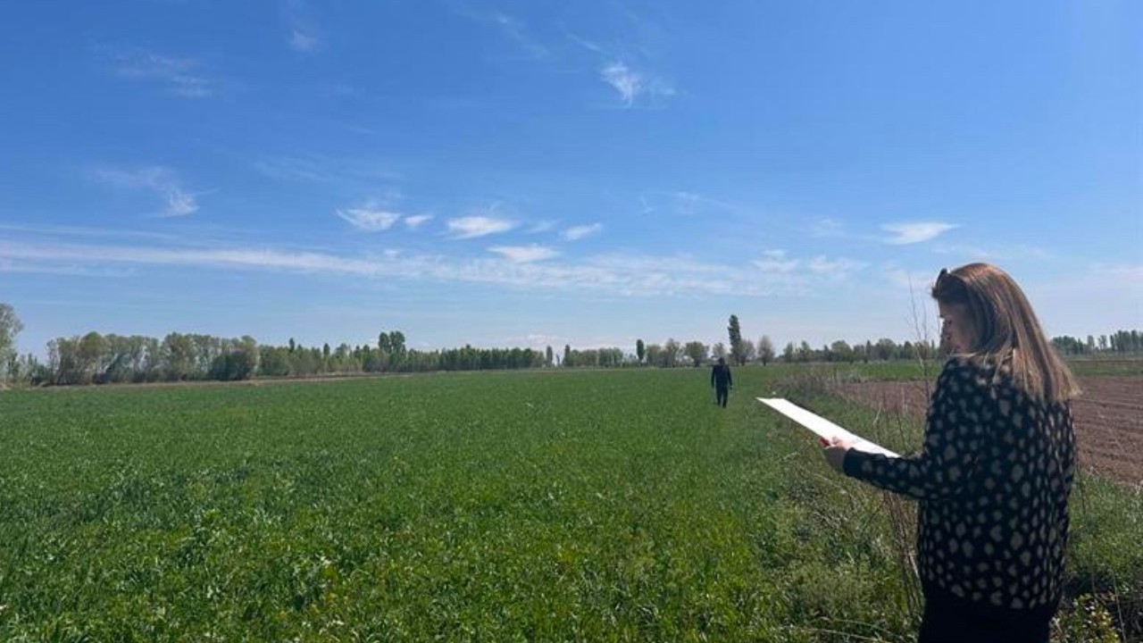 Iğdır’da yem bitkileri üretimi yerinde denetleniyor